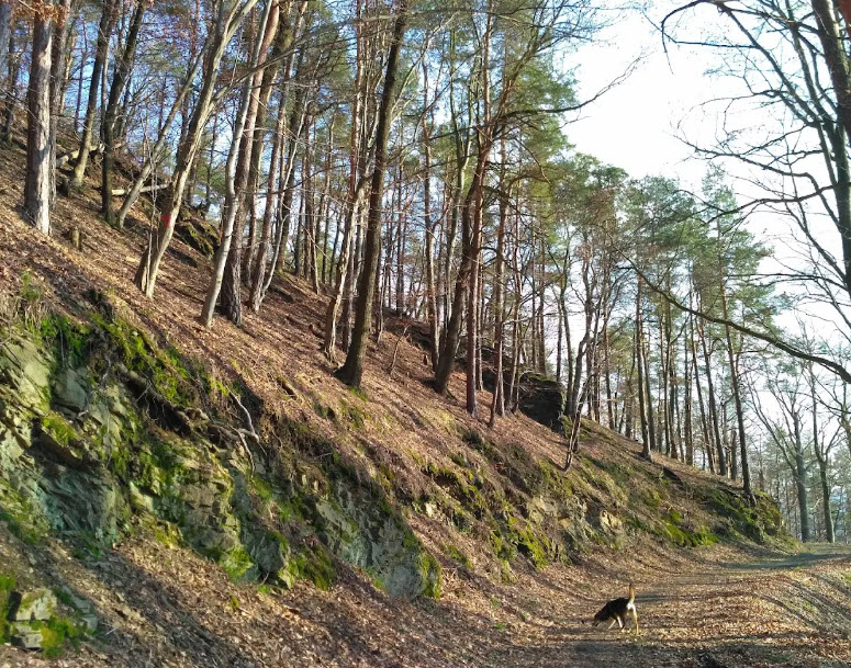 Třebovské Hradisko, Czech Republic (Czechia)